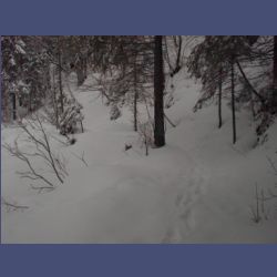 2013-02-02_Rappinschlucht_Lainlalm (060).jpg